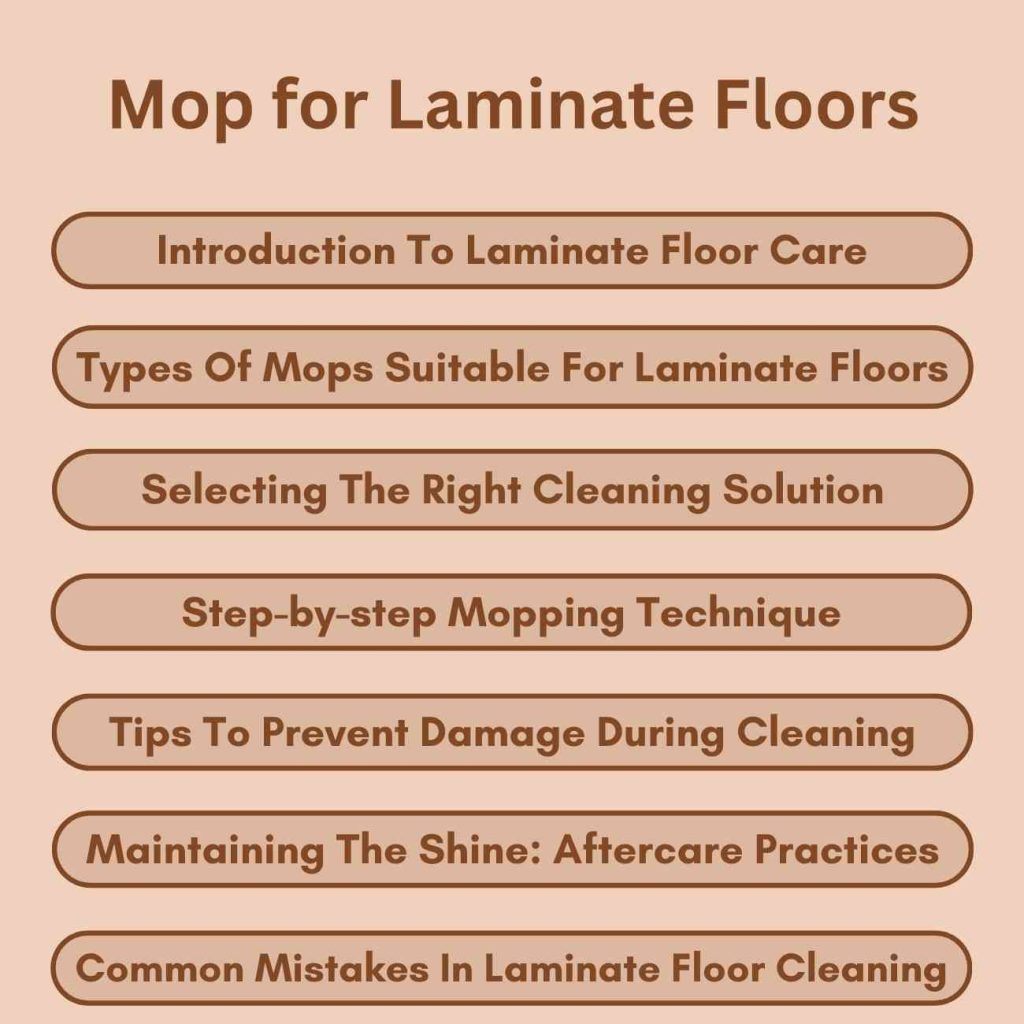Mop for Laminate Floors