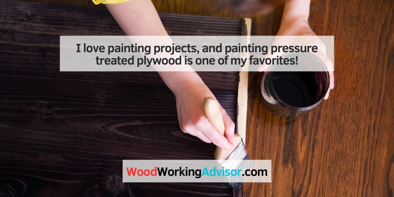 I love painting projects, and painting pressure treated plywood is one of my favorites!